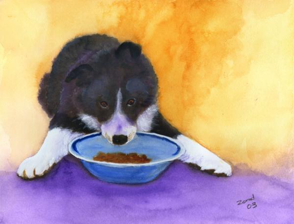 border collie puppies. Border Collie Puppy Painting