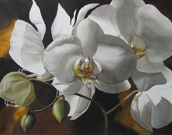 White Orchids Painting - White Orchids Fine Art Print