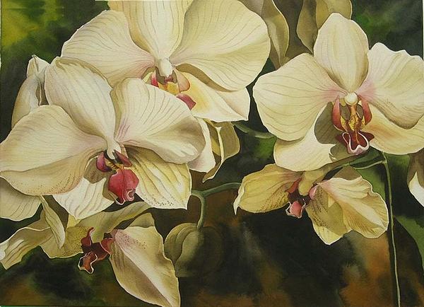 Yellow Orchids Painting  - Yellow Orchids Fine Art Print