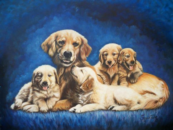 golden retriever dogs puppies. 145 Golden Retriever and pups