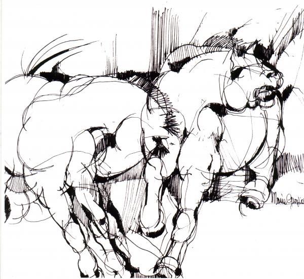 horse drawings, running drawings, black drawings, white drawings, 