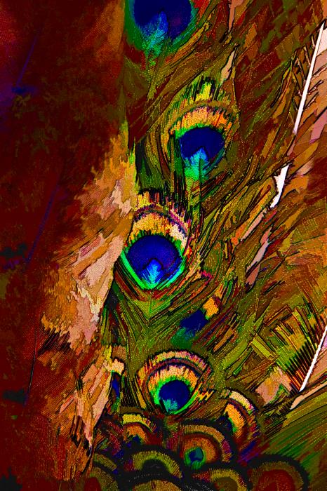 abstract peacock art
