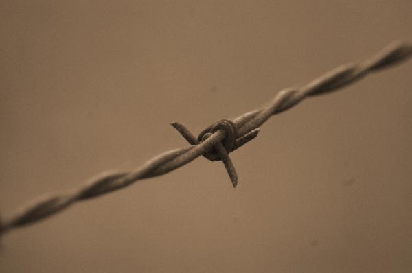 barb wire pictures