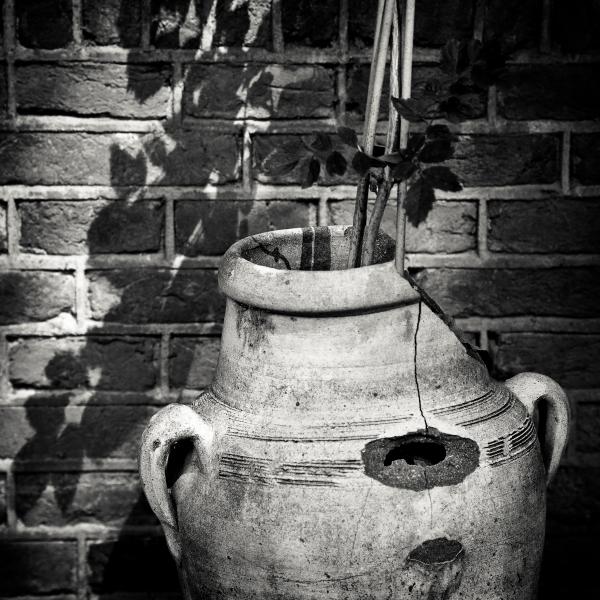 broken-vase-david-bowman