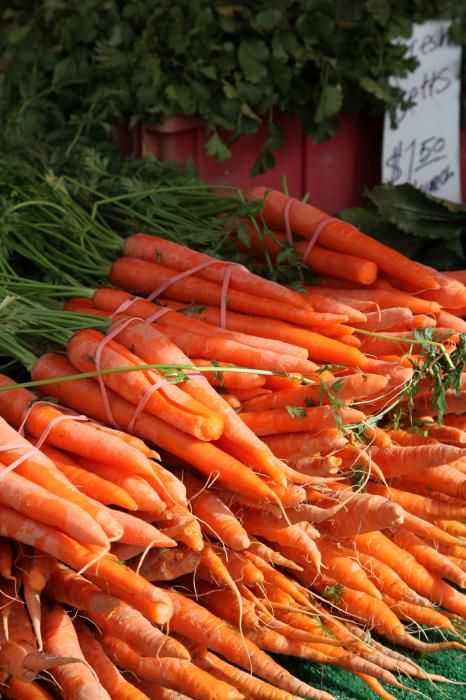 http://fineartamerica.com/images-medium/carrot-bounty-enzie-shahmiri.jpg