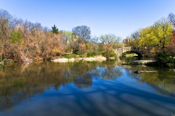central park new york ny. central park new york ny