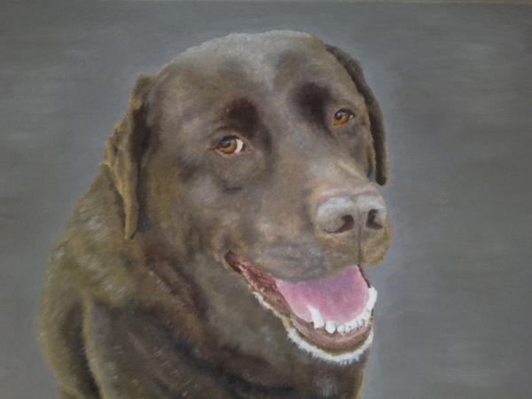 chocolate labrador. Chocolate Labrador Painting