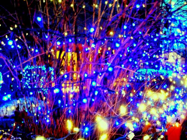 christmas-lights-in-alaska-olivia-peters.jpg