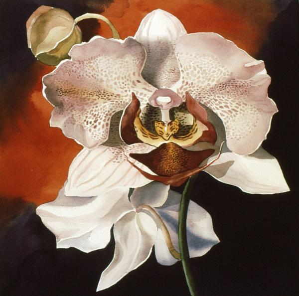 Christmas Orchid Painting  - Christmas Orchid Fine Art Print