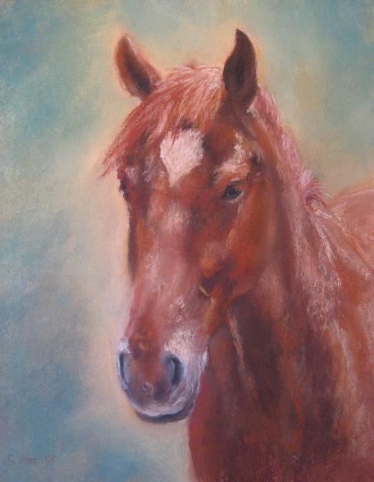  animals paintings, mare paintings, gelding paintings, stallion paintings 