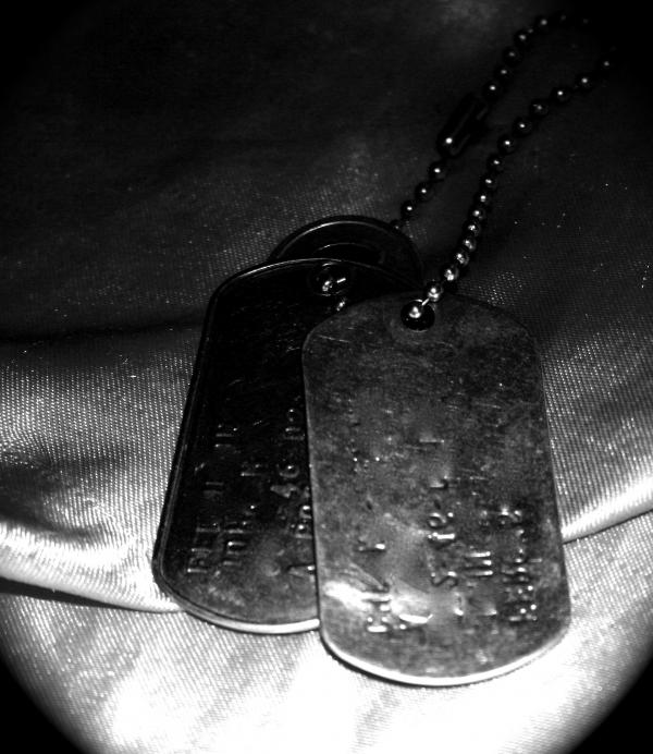 dog tags. Dog Tags in Black and White