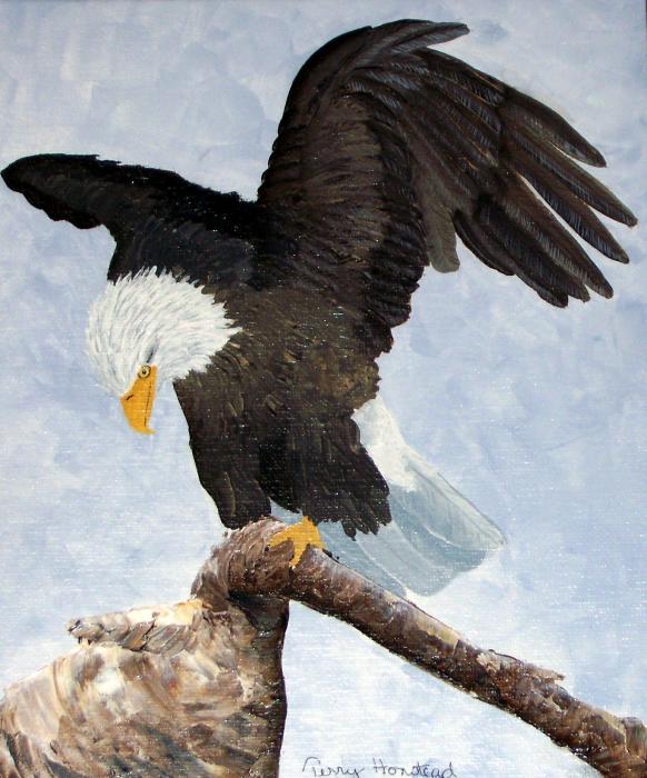 eagle landing