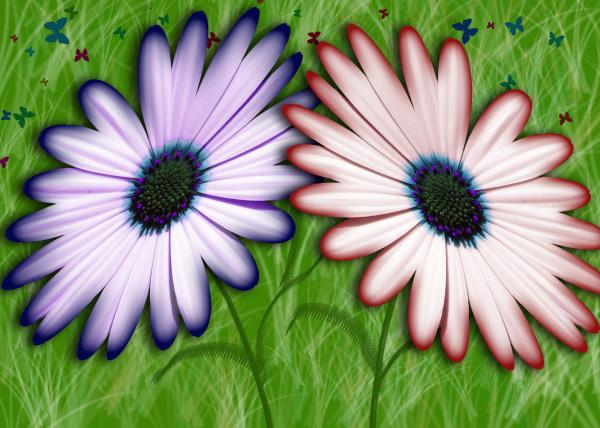 Flowers and Butterflies Photograph - Flowers and Butterflies Fine Art Print