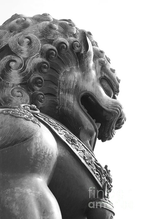 Forbidden City Lion - Black