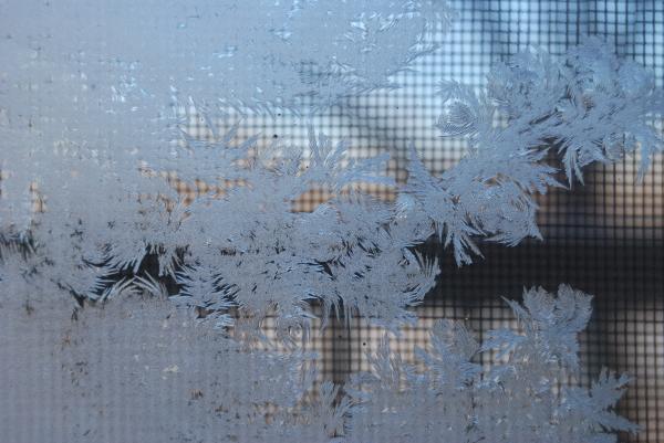 Frosted Glass Photograph - Frosted Glass Fine Art Print