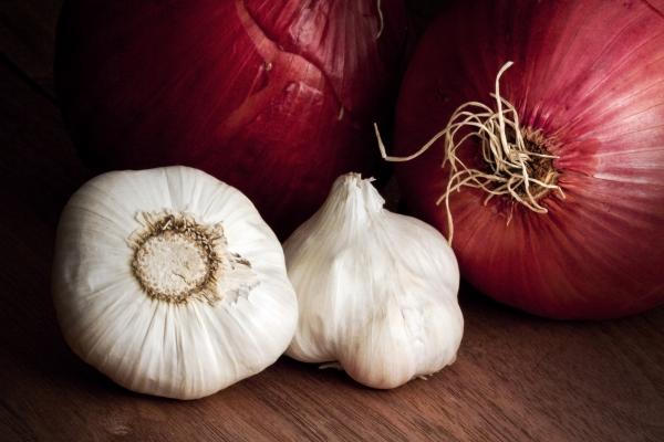 Onions and garlic in any form—even powdered—can endanger your pet's health.