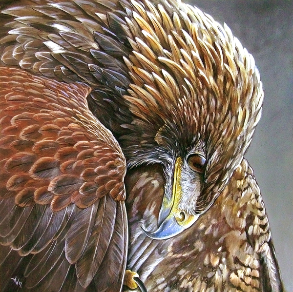 golden eagle pictures. Golden Eagle Painting - Golden