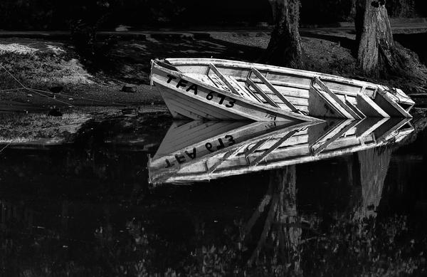 In Love With Myself Photograph - In Love With Myself Fine Art Print. In Love With Myself Photograph by Sarita Rampersad