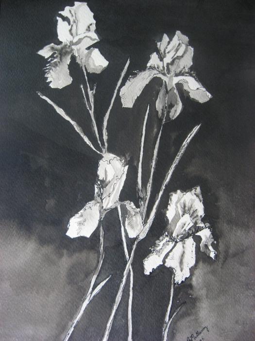 iris painting paintings, shades of black and white paintings, 