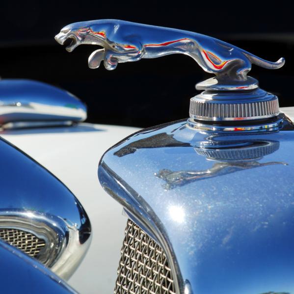 jaguar ornament