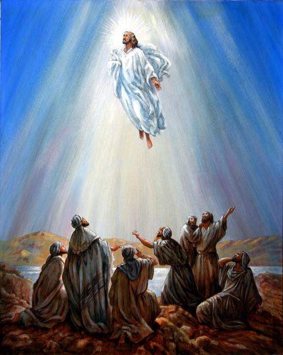 images of jesus in heaven. Jesus Taken up into Heaven Greeting Card