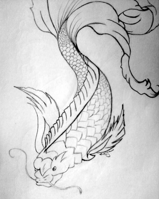 koi fish drawing. Koi Drawing - Koi Fine Art