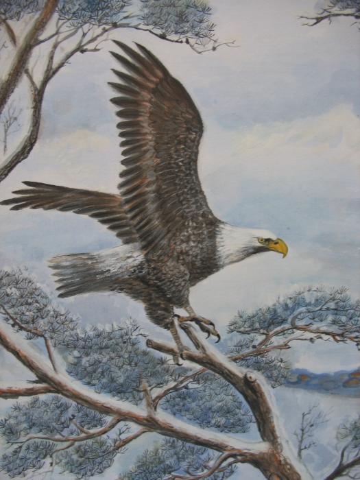eagle painting