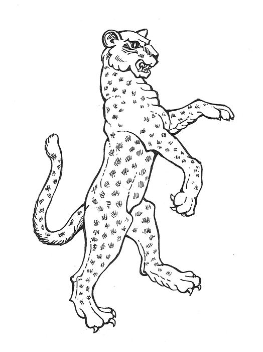  - leopard-david-burkart