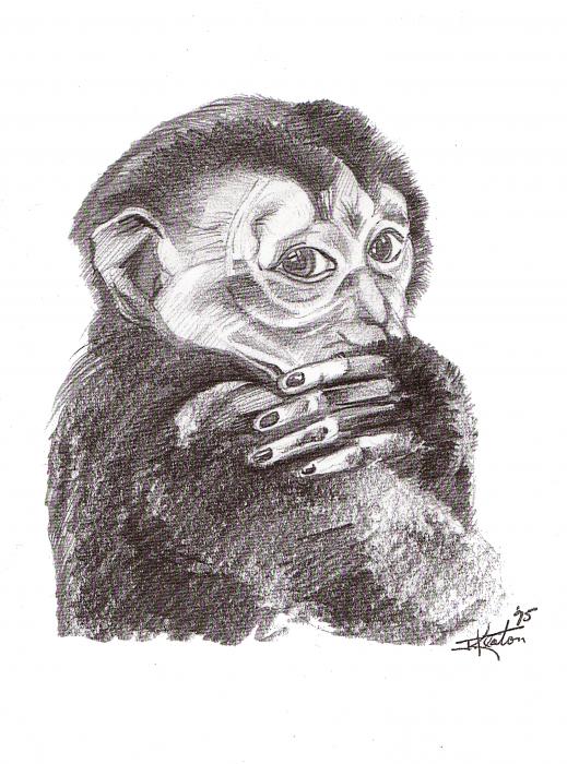 monkey drawing engraving
