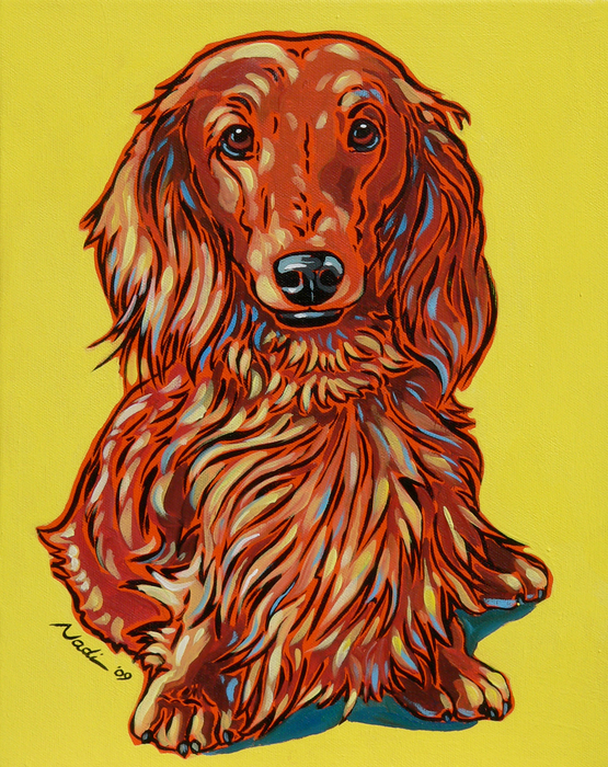 long haired dachshund photos. Long Haired Dachshund Painting