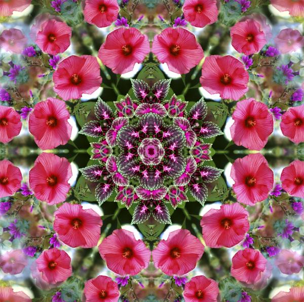 mandala-pink-patron-nancy-griswold.jpg