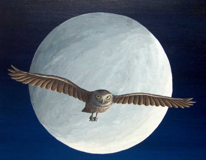 a night owl