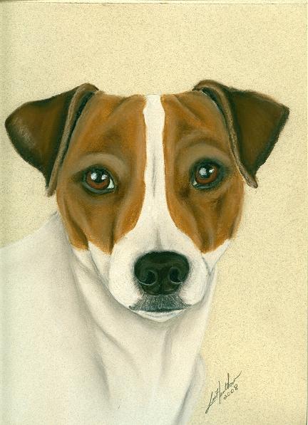 Parson Jack Russell Terrier Painting by Linda Henthorn