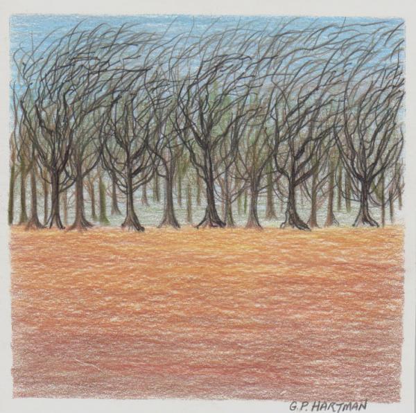Pecan Trees in Winter Drawing - Pecan Trees in Winter Fine Art Print