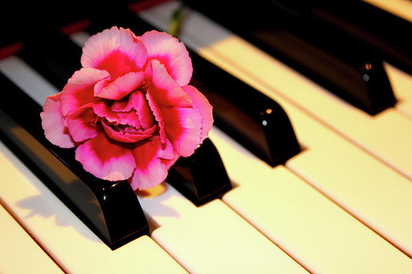 Piano And Flower