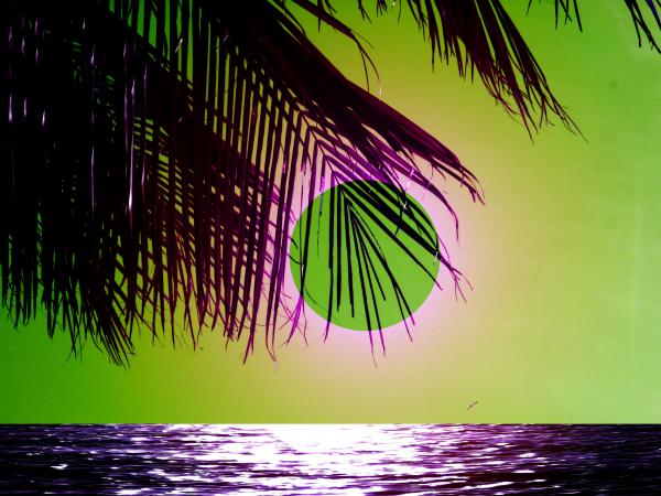 purple sunset beaches. Purple Beach Digital Art