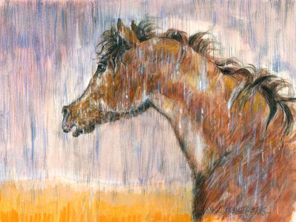 http://fineartamerica.com/images-medium/rain-horse-mary--armstrong.jpg