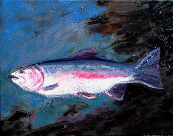 Pictures Of Rainbow Trout. Rainbow Trout Painting