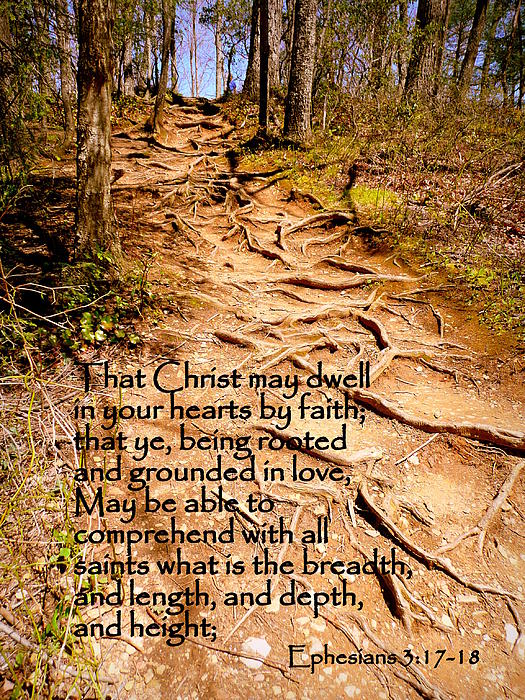 Cindy Wright - Rooted Path with Scripture Cindy Wright - Rooted Path with Scripture