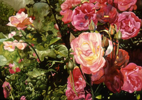 http://fineartamerica.com/images-medium/rose-garden-teri-starkweather.jpg