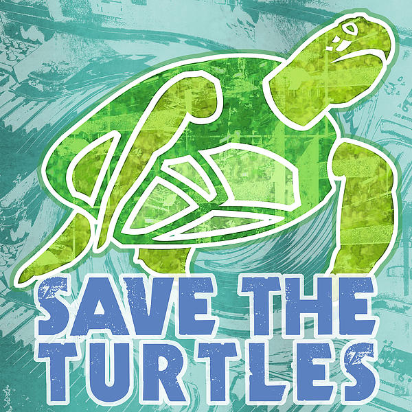 My Sea Turtle Story - NotEnoughGood.com