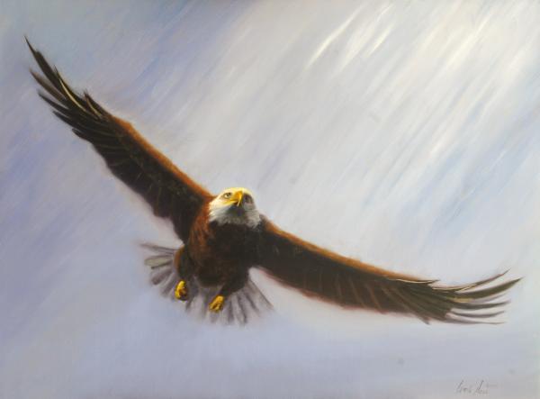 eagle painting