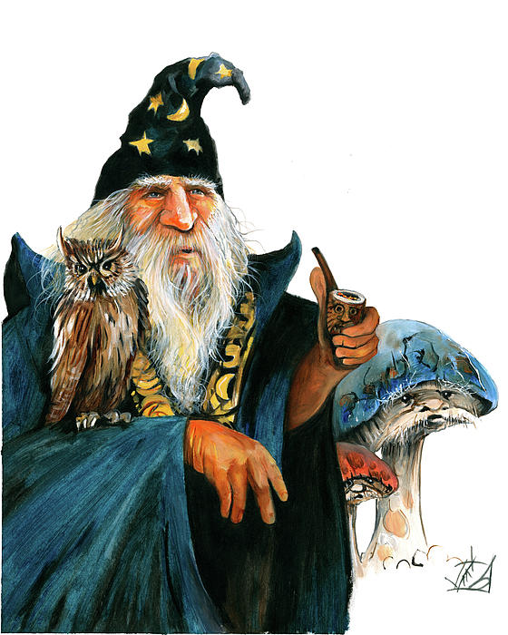 stan-the-wizard-and-the-magic-mushrooms-ii-j-w-baker.jpg