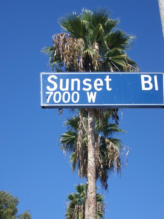 sunset blvd palm trees