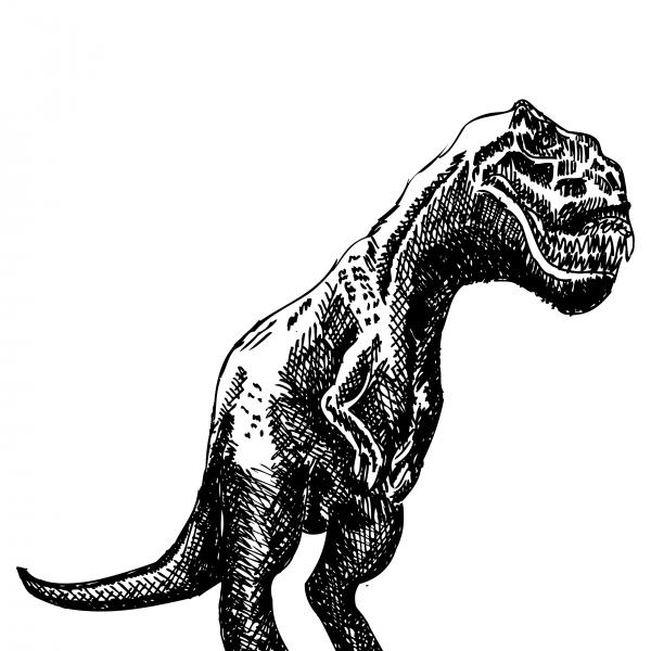 t rex dinosaur. T-Rex Dinosaur Drawing - T-Rex