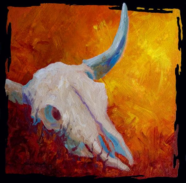 Pictures Of Texas Longhorn