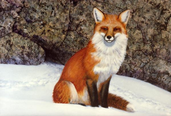 the-wait-red-fox-frank-wilson.jpg