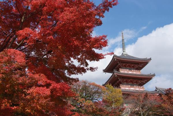  - three-storied-pagoda-at-kyoto-shoji-ikeda