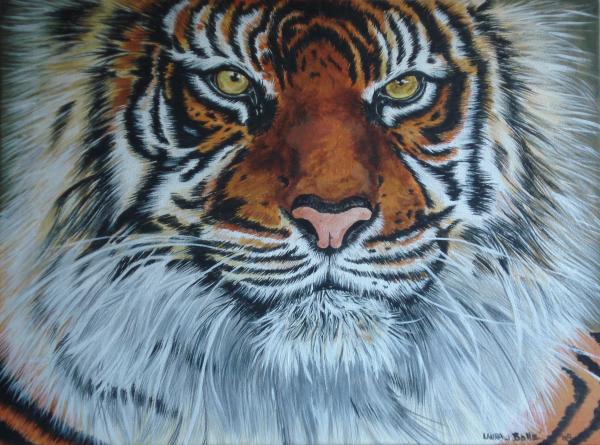 Tiger face Painting - Tiger face Fine Art Print