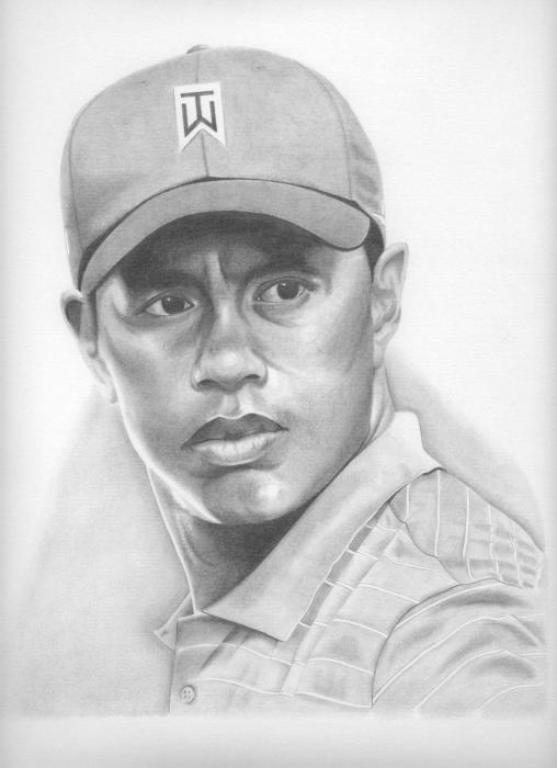 tiger woods drawings